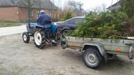  Usługi ogrodnicze i porządkowe działek, posesji, placów 