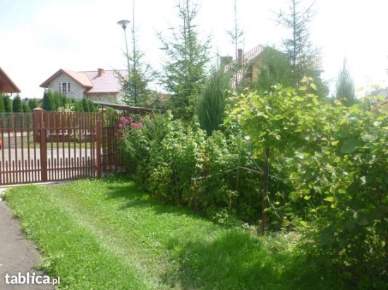 przedam lub zamienię dom wolno-stojący,
